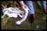 poster-10147-skanetrafiken-bungy-jump-68x45