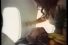 poster-10204-southern-airlines-southern-airline-orgie-68x45