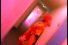poster-10205-hans-brinker-budget-hotel-wake-up-call-68x45