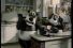 poster-10244-electric-dishwasher-pandas-68x45