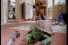 poster-10246-electric-heat-turtle-68x45