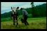 poster-10387-le-rustique-camembert-le-massage-68x45