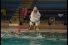 poster-10545-le-barran-la-piscine-68x45