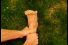 poster-10559-shoes-up-magazine-le-pied-68x45