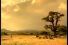 poster-10589-united-healthcare-assurance-maladie-lions-68x45