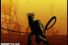 poster-1068-lugz-arrow-68x45