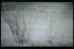 poster-10838-halls-lite-polar-bear-68x45