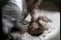 poster-10873-scholl-talc-mommy-s-feet-68x45