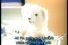 poster-10883-comfort-softy-68x45
