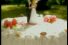 poster-10961-mozell-wedding-day-68x45