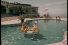 poster-11042-flodor-croque-soleil-la-piscine-68x45