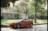 poster-11093-celica-petit-chien-68x45