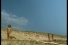 poster-11170-journee-nationale-du-naturisme-naturisme-fr-la-plage-68x45