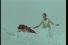 poster-11205-dim-collants-neige-68x45