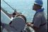 poster-11317-john-west-shark-68x45