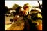 poster-1136-tve-spanish-television-news-service-goodbye-68x45