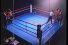 poster-11739-scholl-kick-boxing-68x45