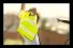 poster-11779-goodyear-runonflat-com-crushed-by-a-truck-68x45