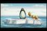 poster-11791-condomshop-org-port-du-preservatif-penguins-68x45