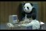 poster-11821-arab-dairy-panda-cheese-office-68x45