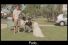 poster-11983-bud-light-dog-training-68x45