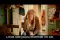 poster-12027-netcom-pocketphoning-68x45