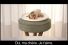 poster-12063-pepto-bismol-nice-burrito-68x45