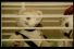 poster-12068-meteor-hamster-voyageur-68x45