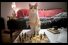 poster-12069-meetup-com-chess-68x45