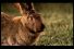 poster-12188-de-standaard-park-life-68x45