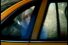 poster-1224-revlon-jaime-68x45