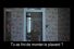 poster-12334-interflora-closet-assembly-gone-bad-68x45