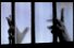 poster-1245-radio-1-prison-escape-68x45