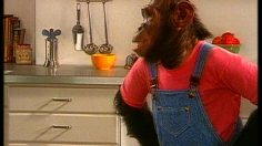 poster-1265-omo-omo-micro-les-singes-236x132