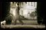 poster-12824-loto-dog-68x45