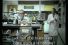 poster-12844-dairy-queen-blizzard-cheese-cake-killer-bee-68x45