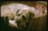 poster-13062-wall-s-micro-sausages-la-fessee-68x45