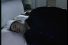 poster-13066-magic-fm-moved-by-magic-68x45