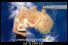 poster-13080-triple-m-radio-weather-girl-68x45