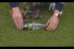 poster-13083-carlsberg-sport-squirrel-68x45