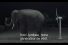 poster-13161-lamptan-se-tronic-elephant-68x45