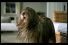 poster-13178-friskies-wet-dog-68x45