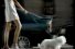 poster-13304-elf-diesel-evolution-le-chien-68x45