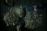 poster-13347-discovery-com-meteor-68x45