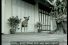 poster-13351-proprete-de-bangkok-dog-68x45