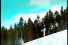 poster-13574-salomon-tronconneuse-68x45