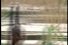 poster-13584-comviq-nature-68x45