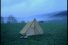 poster-13608-scapino-la-vache-68x45