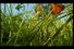 poster-13736-le-parisien-microcosmos-68x45