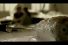 poster-14008-spor-peinture-surprise-68x45